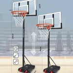 კალათბურთის ფარი 236