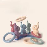 სასროლი რგოლები და სამიზნე