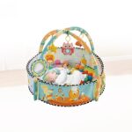 ჩვილის განსავითარებელი ხალიჩა