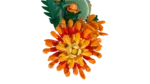 LEGO Constructor Icons Botanicals Chrysanthemum - Image 3